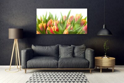 Quadro in vetro acrilico Tulipani, fiori, piante