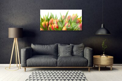 Quadro in vetro acrilico Tulipani, fiori, piante