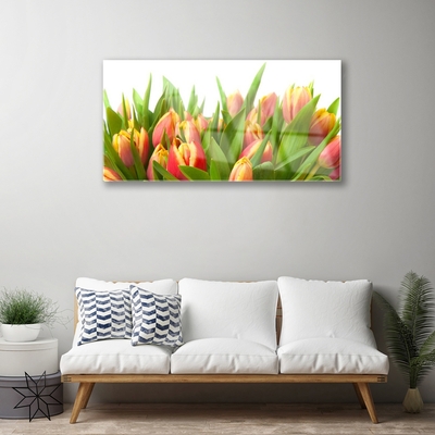 Quadro in vetro acrilico Tulipani, fiori, piante