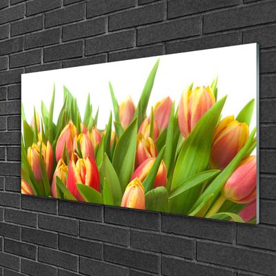 Quadro in vetro acrilico Tulipani, fiori, piante