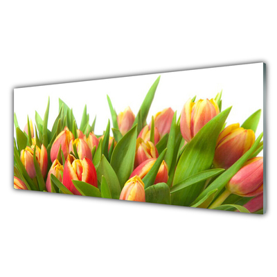 Quadro in vetro acrilico Tulipani, fiori, piante