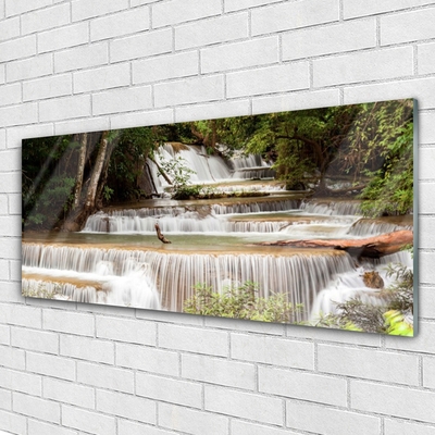 Quadro acrilico Cascata della natura della foresta