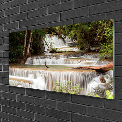 Quadro acrilico Cascata della natura della foresta