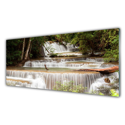 Quadro acrilico Cascata della natura della foresta