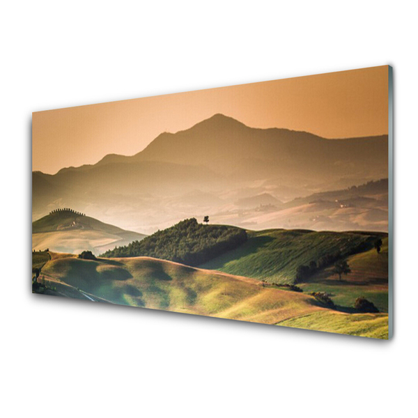 Quadro acrilico Paesaggio del campo delle montagne