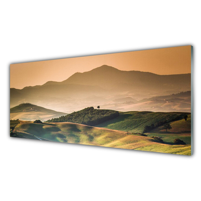 Quadro acrilico Paesaggio del campo delle montagne