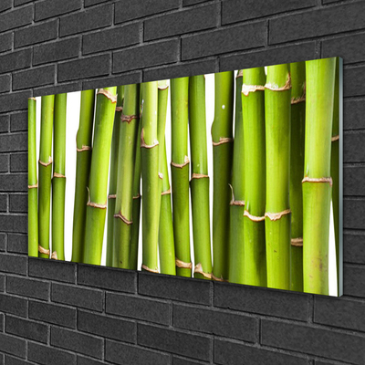 Quadro in vetro acrilico Bambù Pianta Natura