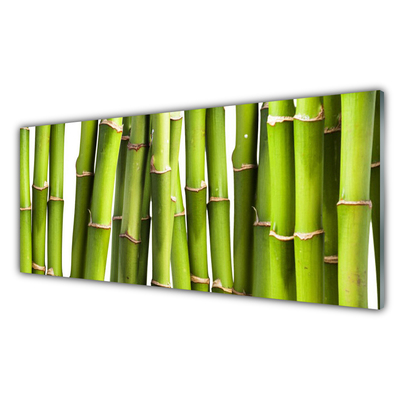 Quadro in vetro acrilico Bambù Pianta Natura