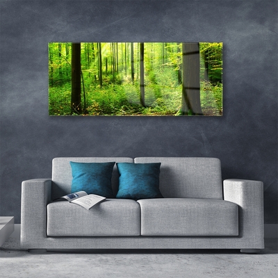 Quadro acrilico Foresta Alberi Verdi Natura