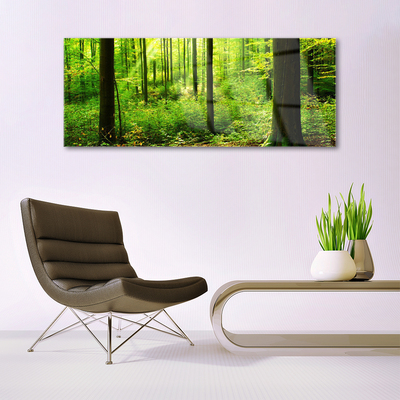 Quadro acrilico Foresta Alberi Verdi Natura