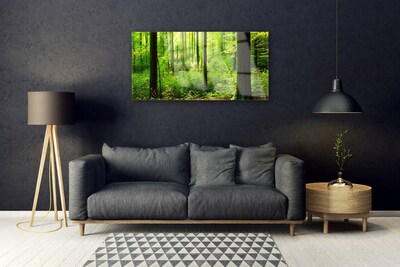 Quadro acrilico Foresta Alberi Verdi Natura