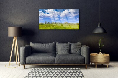 Quadro vetro acrilico Paesaggio del cielo dell'erba del prato