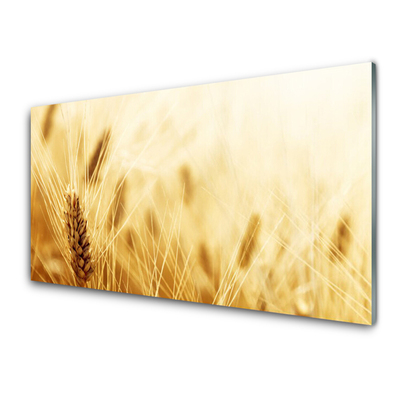 Quadro vetro acrilico Grano vegetale naturale