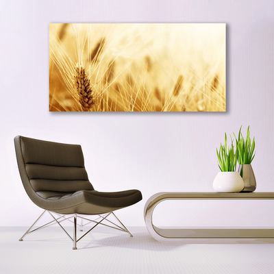 Quadro vetro acrilico Grano vegetale naturale