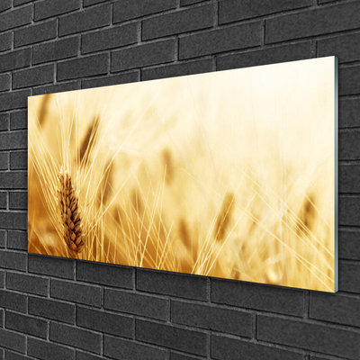 Quadro vetro acrilico Grano vegetale naturale