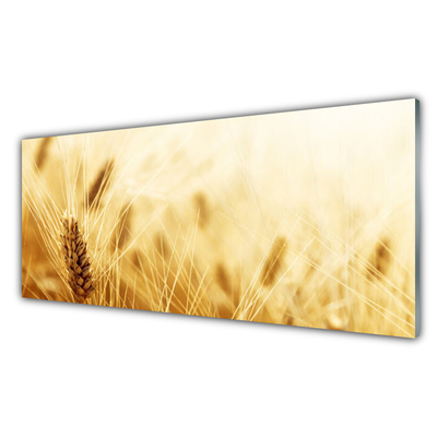 Quadro vetro acrilico Grano vegetale naturale