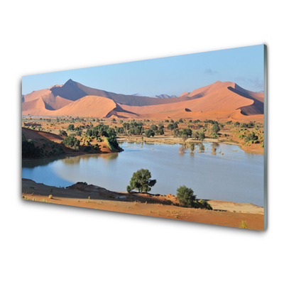 Quadro acrilico Paesaggio del lago deserto