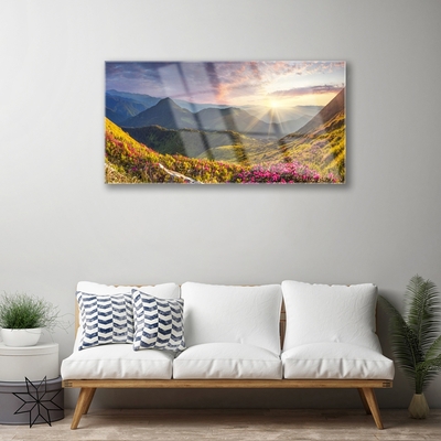 Quadro vetro acrilico Paesaggio del sole del prato di montagna