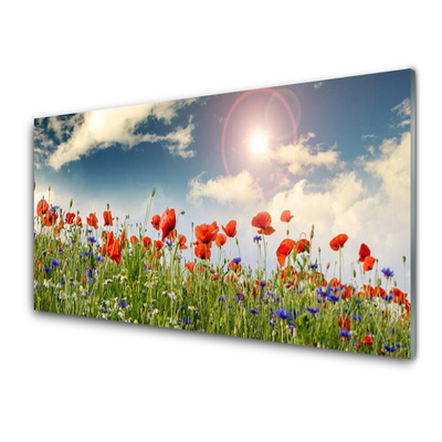 Quadro acrilico Prato. Fiori. Sole. Natura