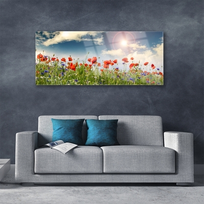 Quadro acrilico Prato. Fiori. Sole. Natura