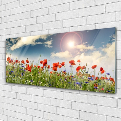 Quadro acrilico Prato. Fiori. Sole. Natura