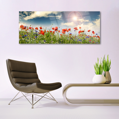 Quadro acrilico Prato. Fiori. Sole. Natura