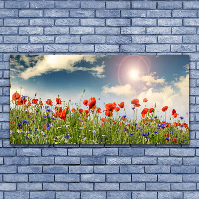 Quadro acrilico Prato. Fiori. Sole. Natura