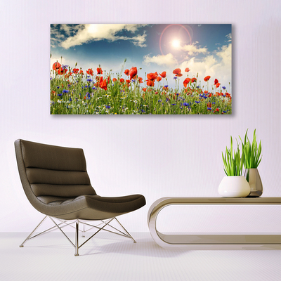 Quadro acrilico Prato. Fiori. Sole. Natura
