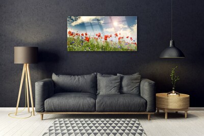 Quadro acrilico Prato. Fiori. Sole. Natura