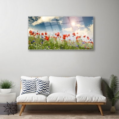 Quadro acrilico Prato. Fiori. Sole. Natura