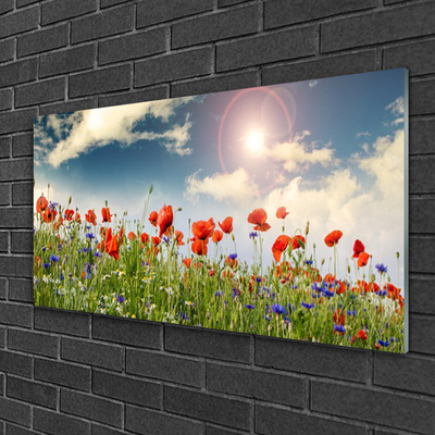 Quadro acrilico Prato. Fiori. Sole. Natura