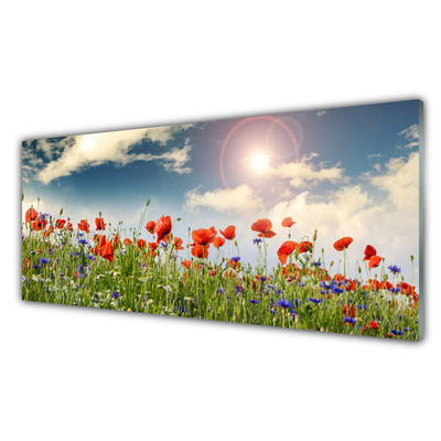 Quadro acrilico Prato. Fiori. Sole. Natura