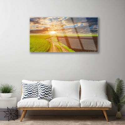 Quadro acrilico Il campo, il cielo e il sole La natura