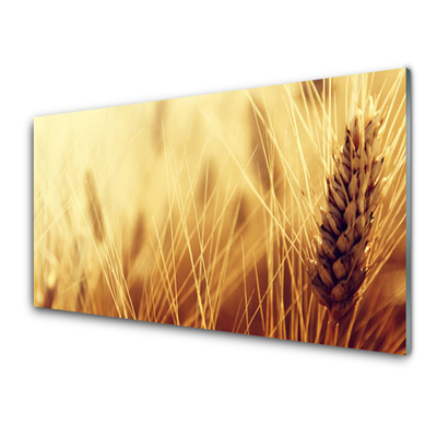 Quadro su vetro acrilico Grano vegetale naturale