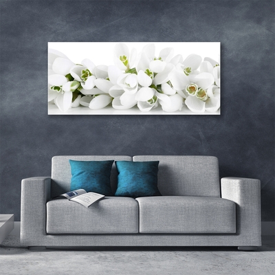 Quadro su vetro acrilico Fiori, piante, natura