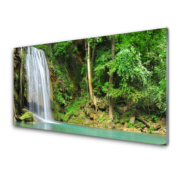 Quadro su vetro acrilico Cascata della natura della foresta