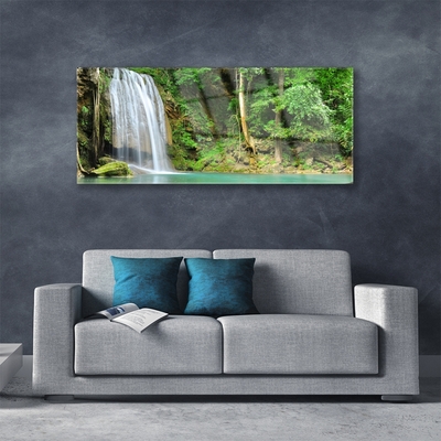 Quadro su vetro acrilico Cascata della natura della foresta