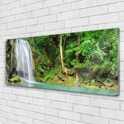 Quadro su vetro acrilico Cascata della natura della foresta