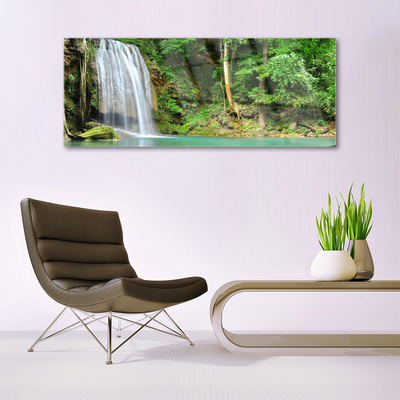 Quadro su vetro acrilico Cascata della natura della foresta