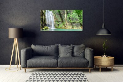 Quadro su vetro acrilico Cascata della natura della foresta