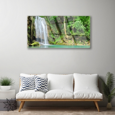 Quadro su vetro acrilico Cascata della natura della foresta