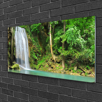 Quadro su vetro acrilico Cascata della natura della foresta