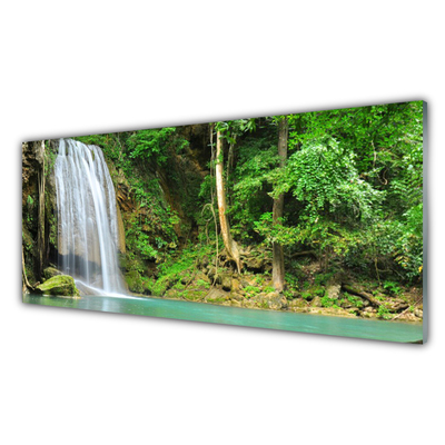 Quadro su vetro acrilico Cascata della natura della foresta