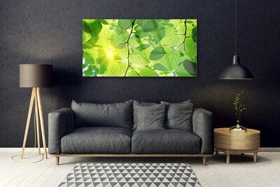 Quadro acrilico Foglie di piante naturali