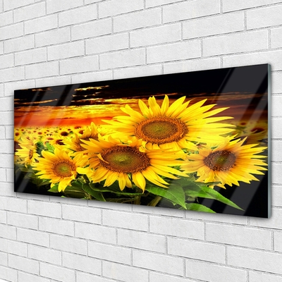 Quadro acrilico Pianta di fiori di girasole