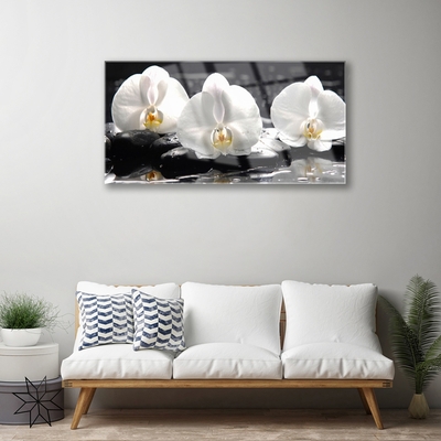 Quadro acrilico Fiore di orchidea bianca