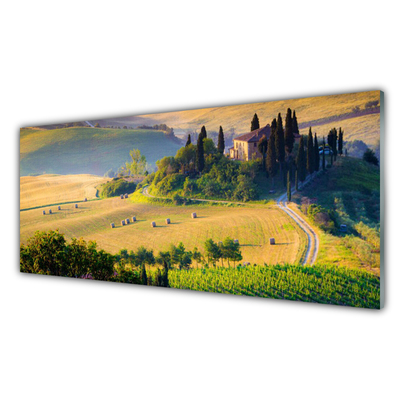 Quadro acrilico Campo di alberi del paesaggio