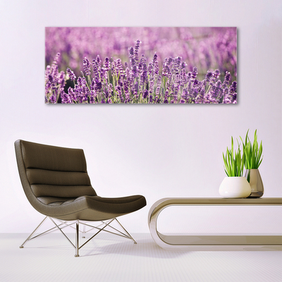 Quadro vetro acrilico Fiori, piante, natura