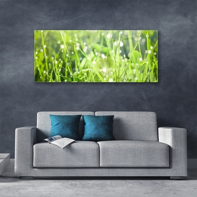 Quadro su vetro acrilico Erba, piante, natura