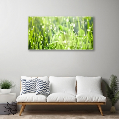Quadro su vetro acrilico Erba, piante, natura